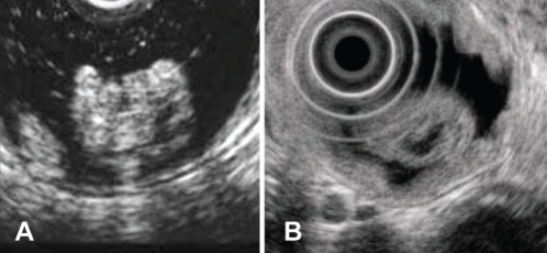 Figure 2)