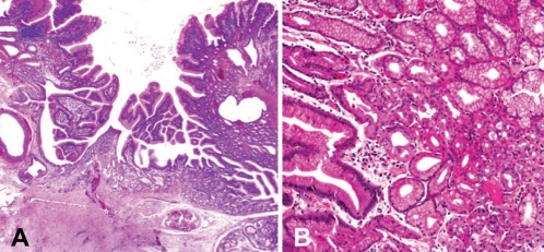 Figure 3)