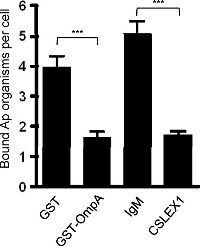 Fig 10