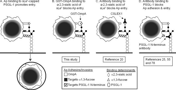 Fig 11