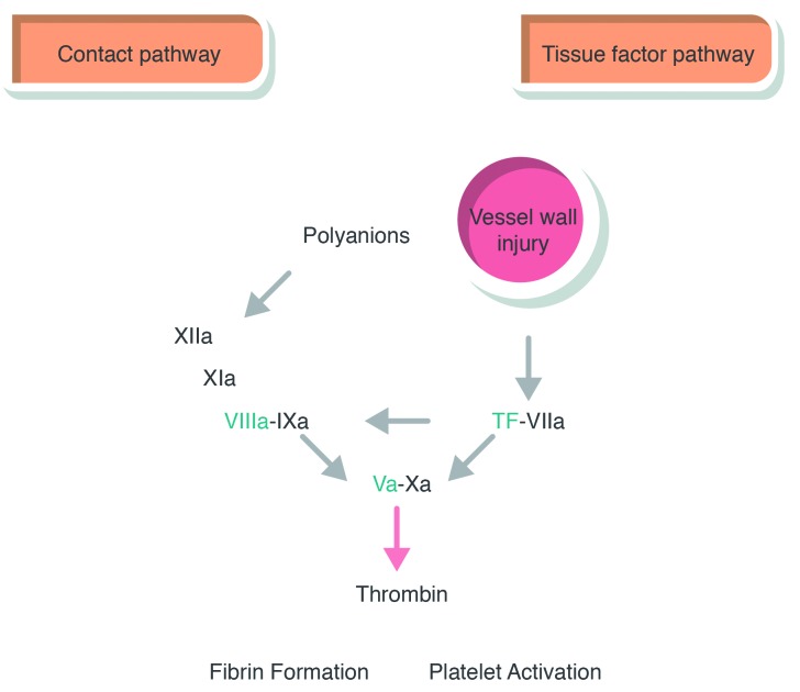 Figure 6.