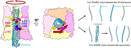 Fig. 4