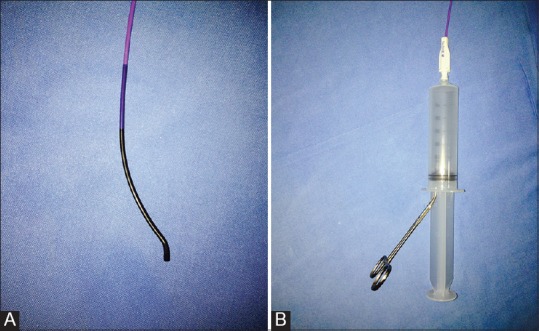 Figure 1 (A and B)