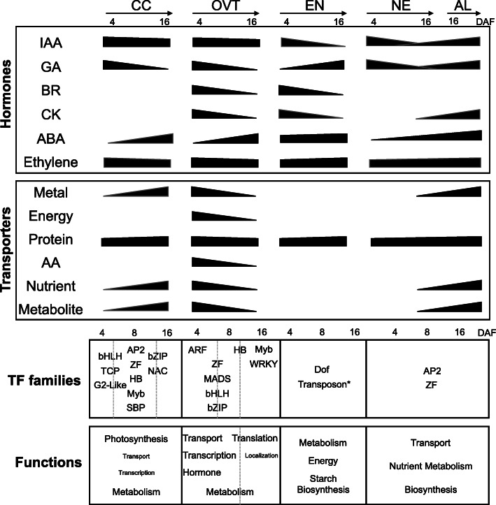 Fig. 8