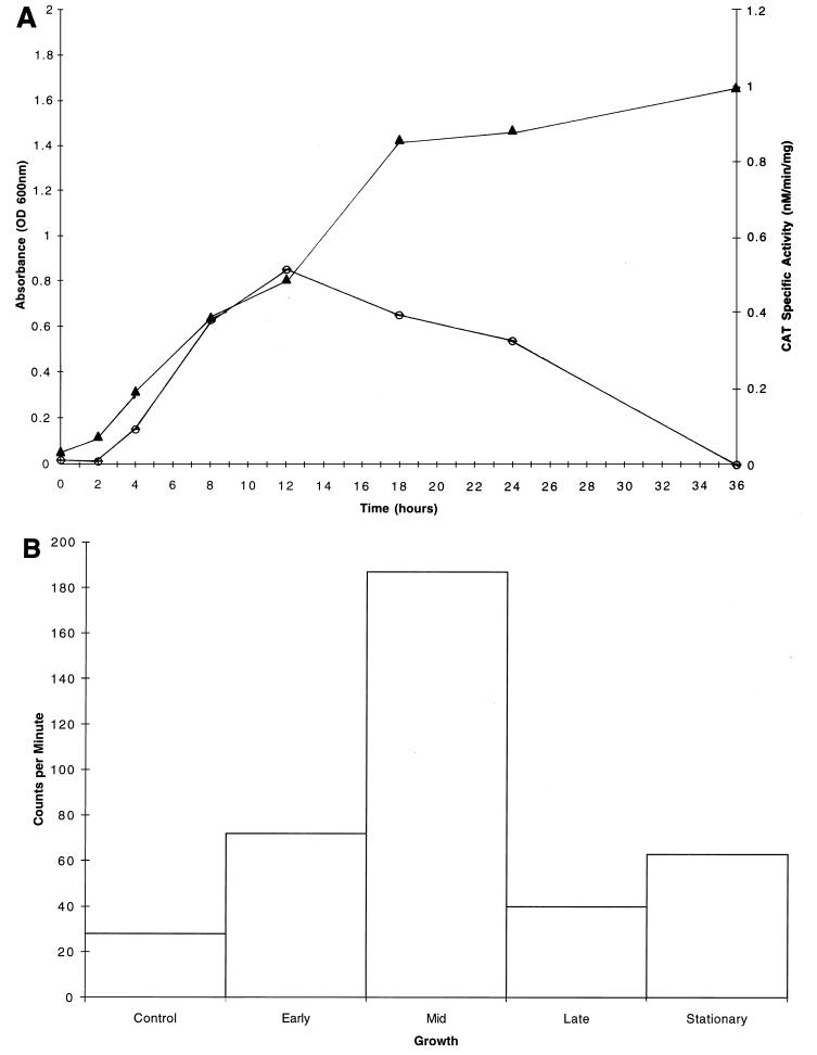 FIG. 6