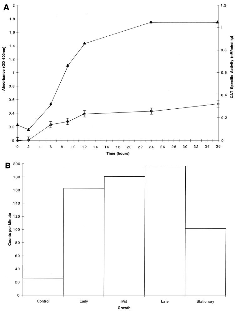 FIG. 7