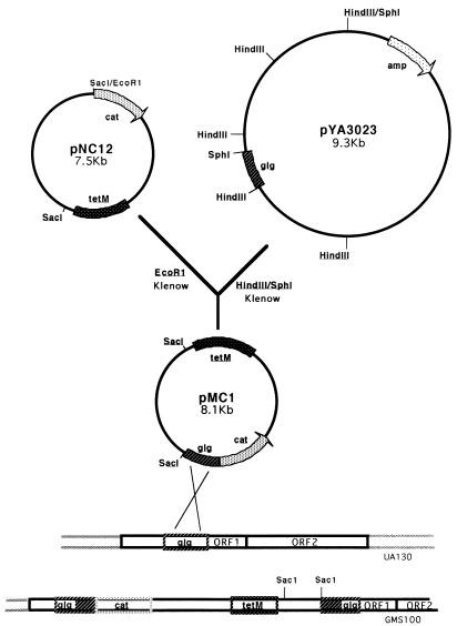 FIG. 2