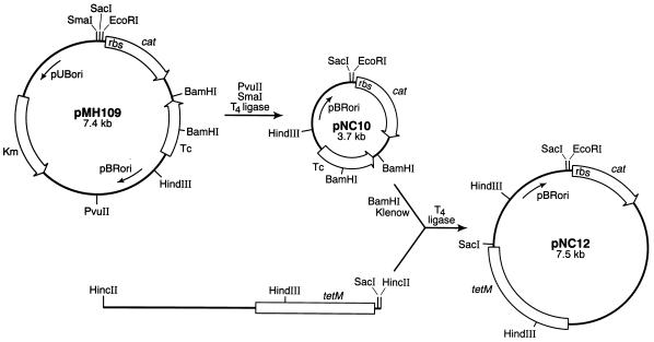 FIG. 1