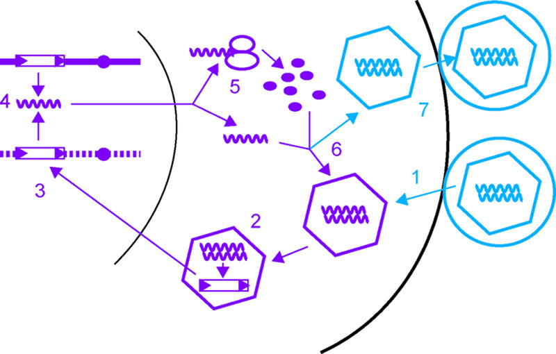 FIG. 1.