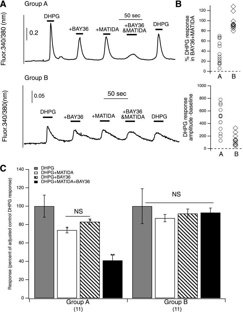 Fig. 8.