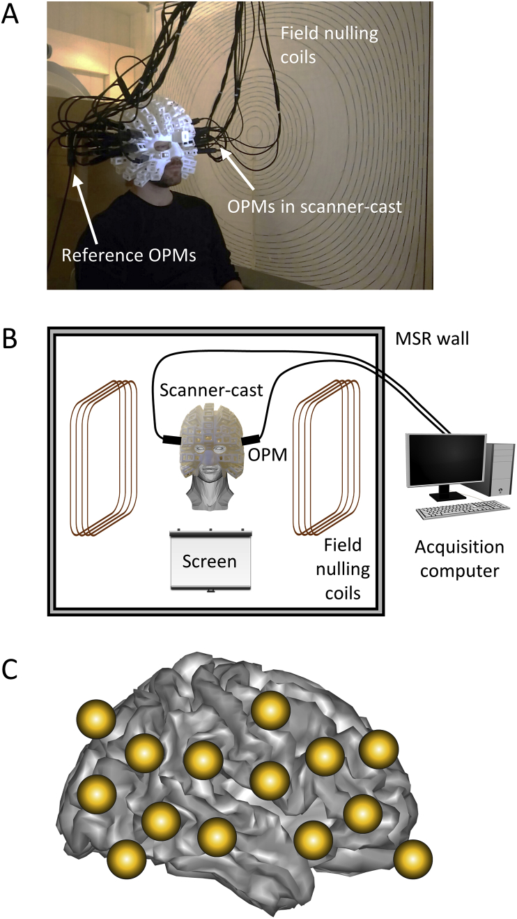 Fig. 2