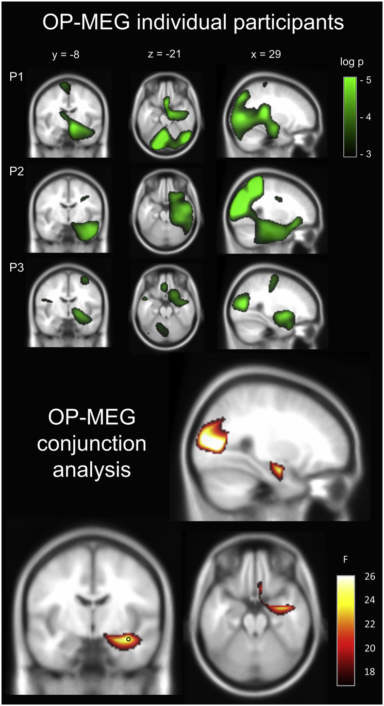 Fig. 3