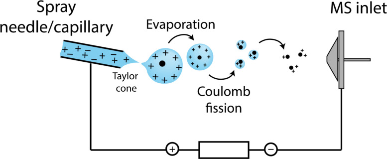 Figure 7: