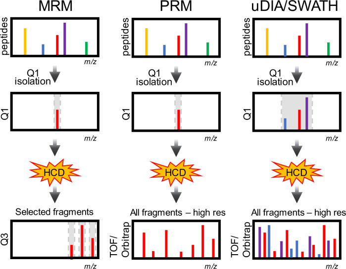 Figure 15: