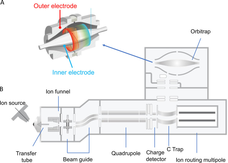 Figure 11: