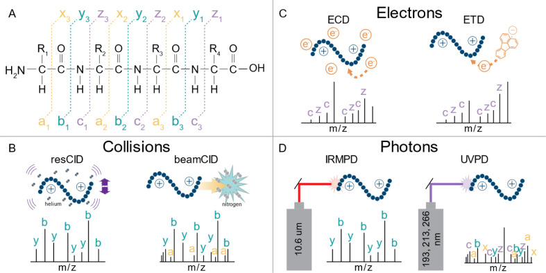 Figure 14: