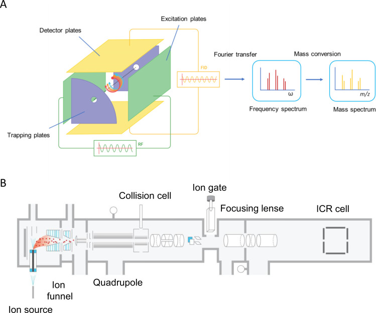 Figure 12: