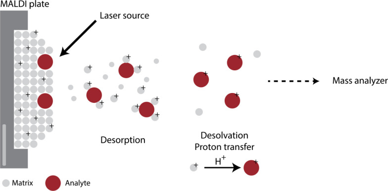 Figure 6: