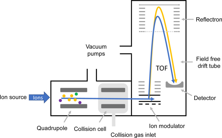 Figure 10: