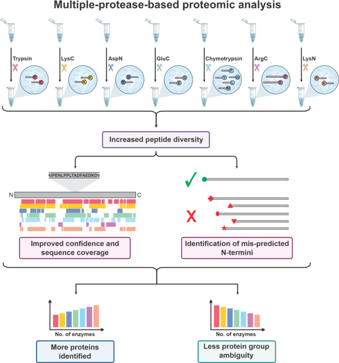 Figure 2: