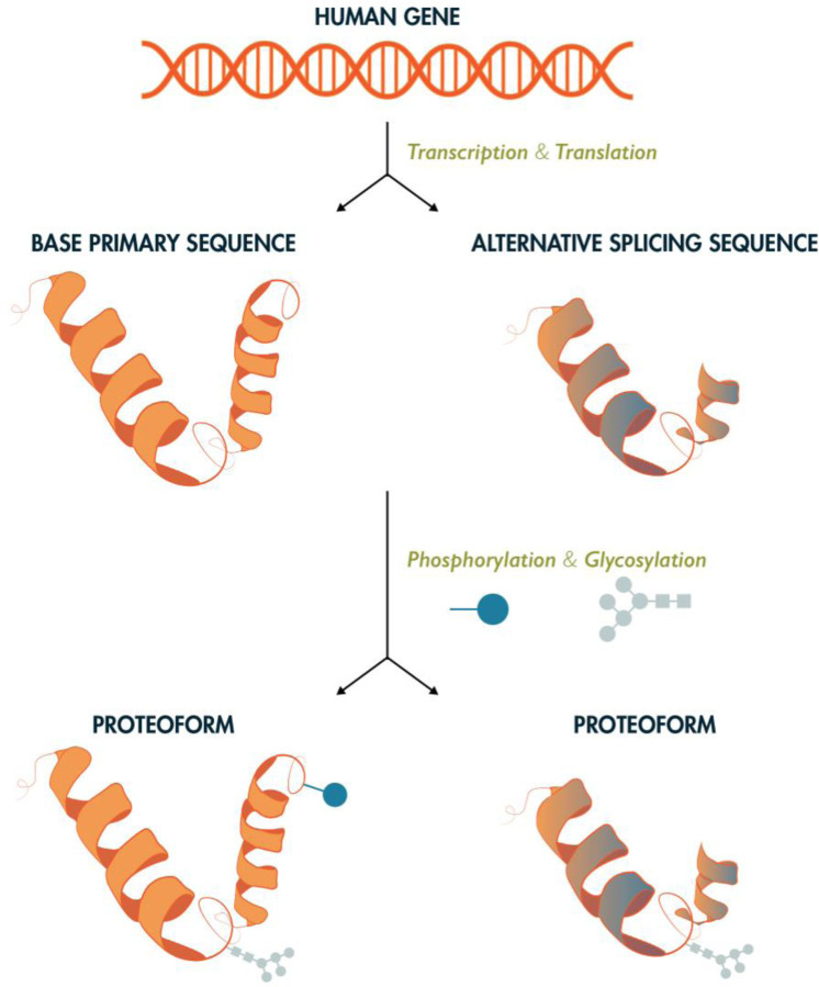 Figure 1: