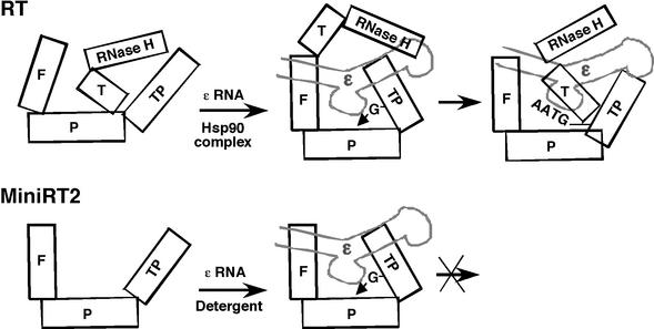 FIG. 7.