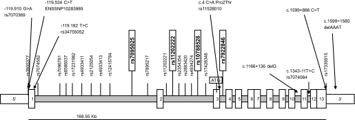 FIG. 3.