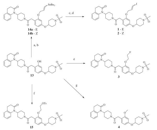 Scheme 2