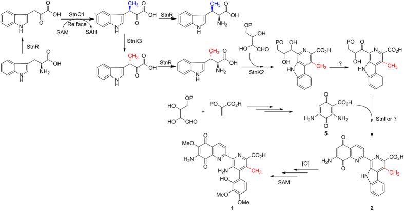 Figure 4