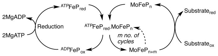 Scheme 1