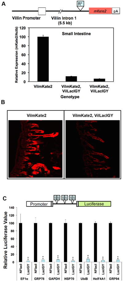 Figure 3: