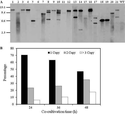 Fig. 2