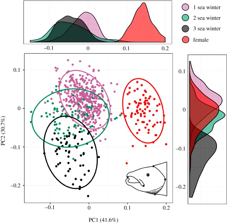 Figure 5.