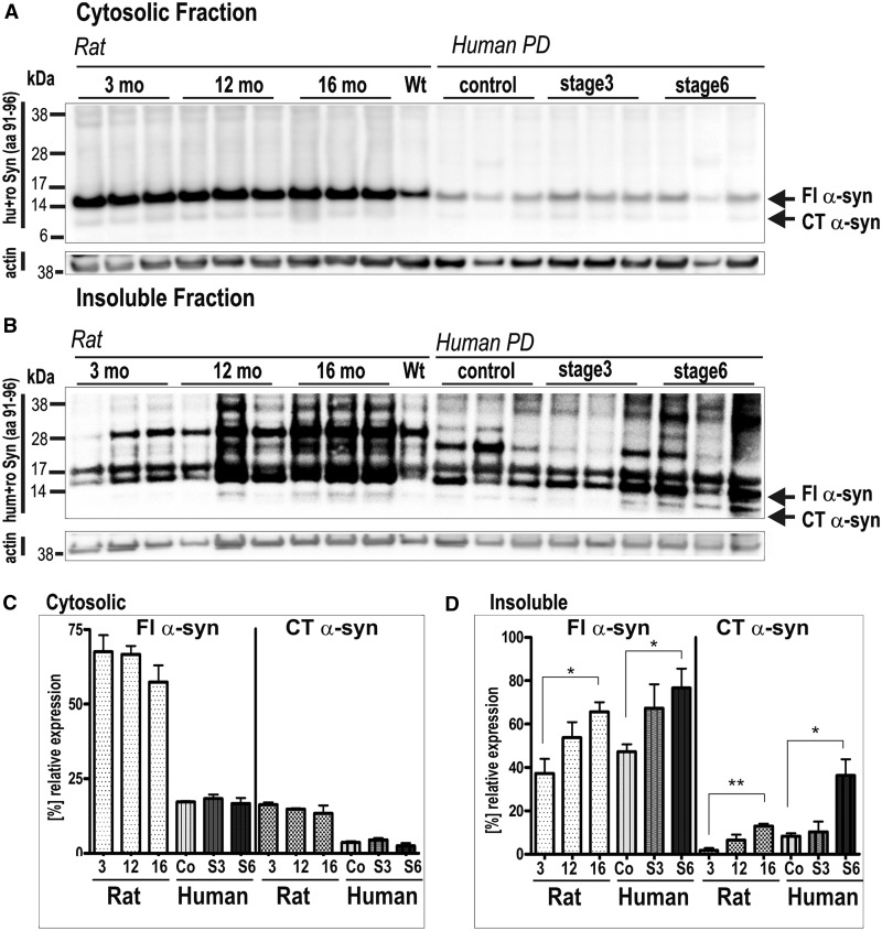 Figure
4