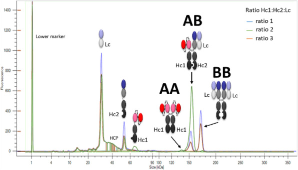 Fig. 1 (abstract P-160).