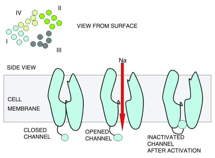 Figure 3. 