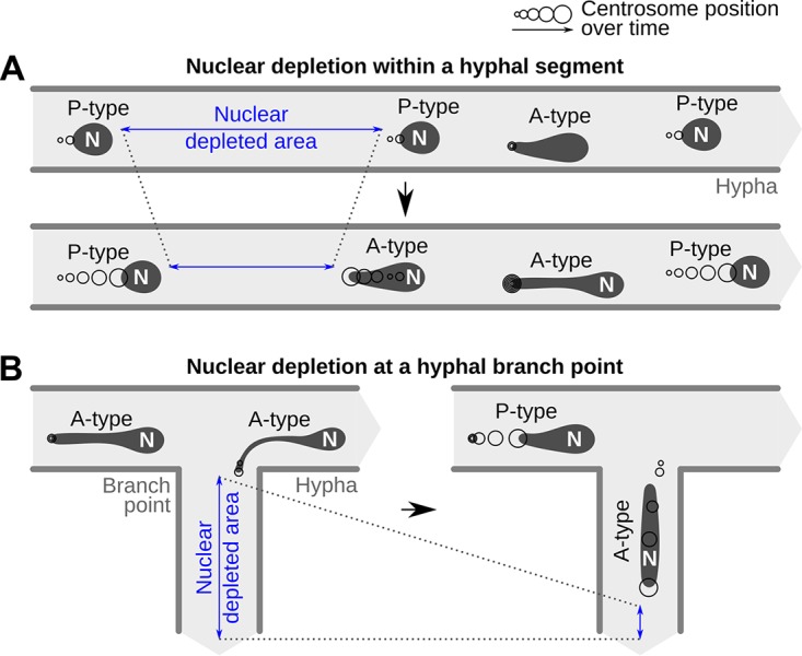 FIG 8