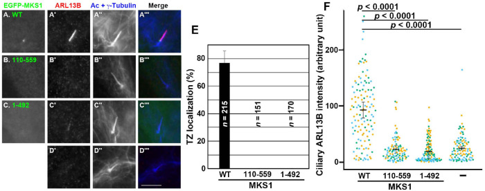 FIGURE 5: