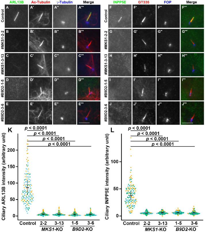 FIGURE 4: