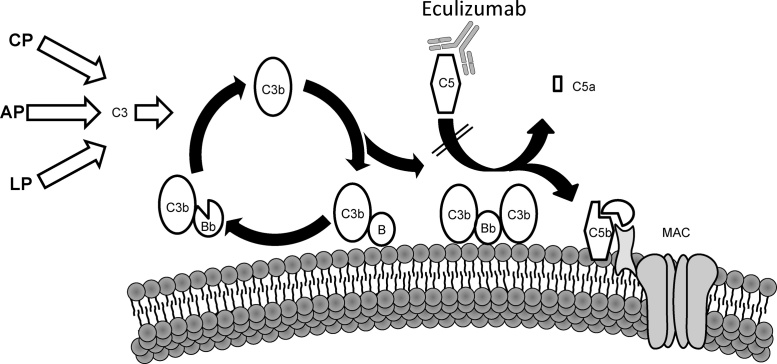 Fig. 1