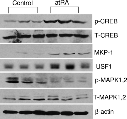 FIG. 7.