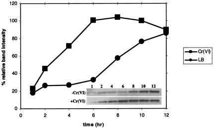 FIG. 5.