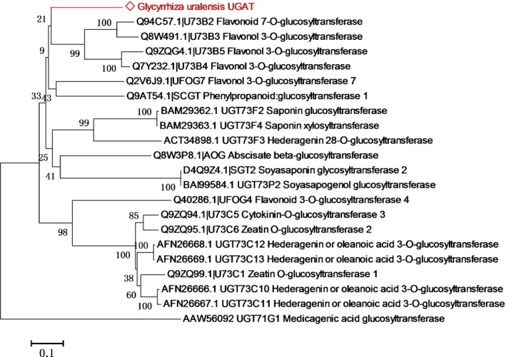 Figure 5