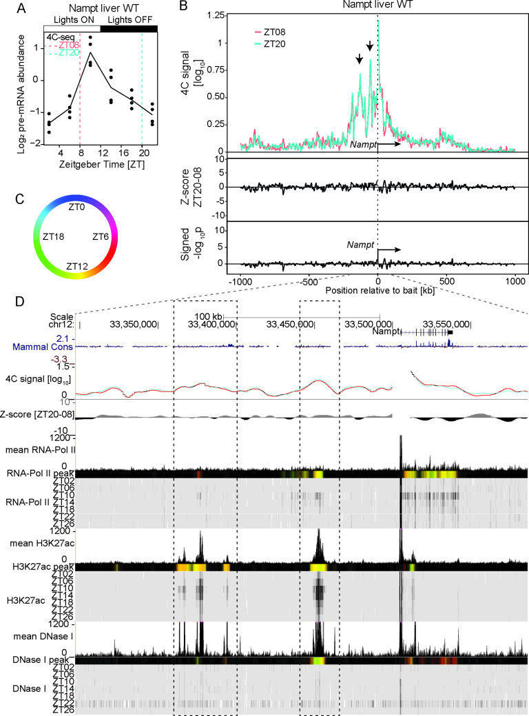 Fig 4