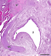FIGURE 14