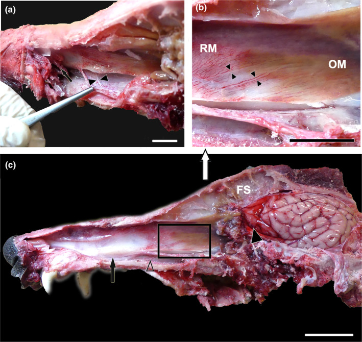 FIGURE 3