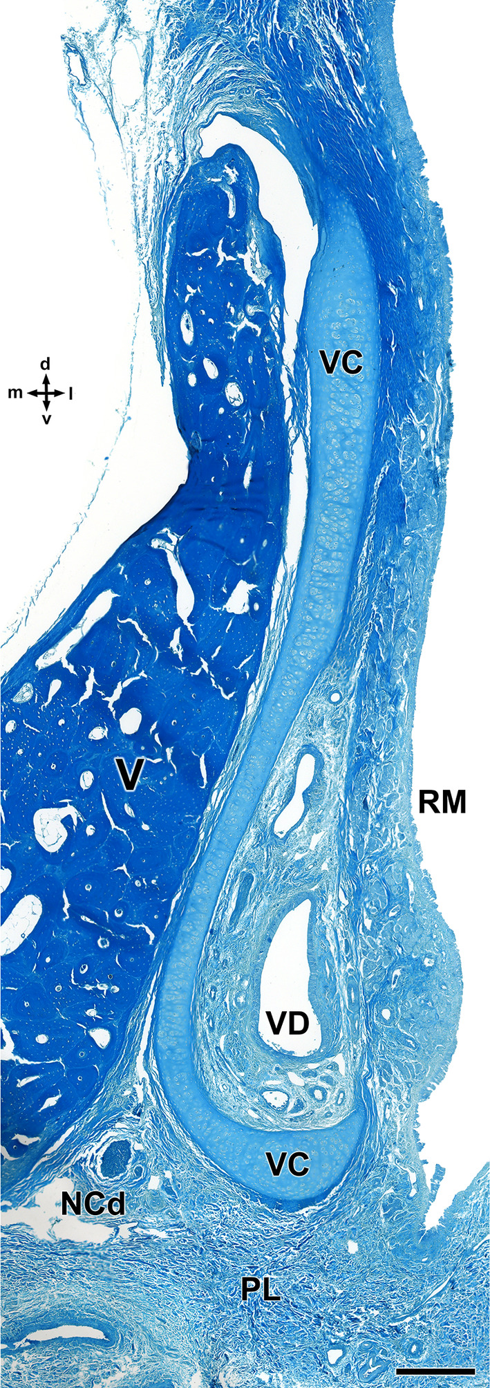 FIGURE 13