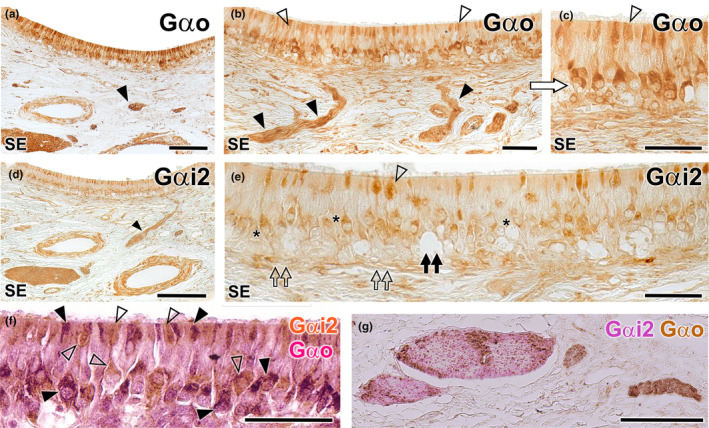 FIGURE 16