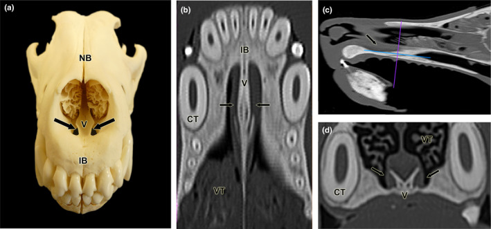 FIGURE 2