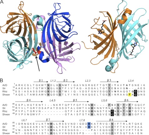 FIGURE 1.